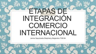 ETAPAS DE
INTEGRACIÓN
COMERCIO
INTERNACIONALJaime Sepulveda Stephany Alejandra T/M 6A
 