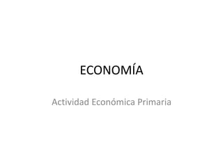 ECONOMÍA 
Actividad Económica Primaria 
 