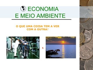 ECONOMIA  E MEIO AMBIENTE O QUE UMA COISA TEM A VER COM A OUTRA ? x 