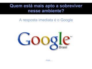 A resposta imediata é o Google Quem está mais apto a sobreviver nesse ambiente? mas... 