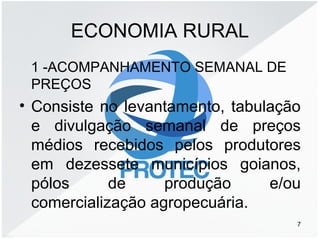 ECONOMIA RURAL
1 -ACOMPANHAMENTO SEMANAL DE
PREÇOS
• Consiste no levantamento, tabulação
e divulgação semanal de preços
médios recebidos pelos produtores
em dezessete municípios goianos,
pólos de produção e/ou
comercialização agropecuária.
7
 