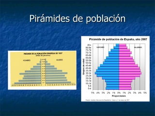Pirámides de población 