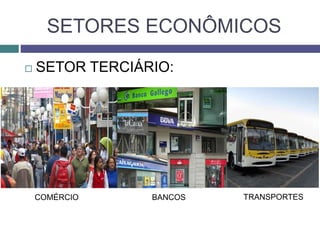 SETORES ECONÔMICOS
 SETOR TERCIÁRIO:
COMÉRCIO BANCOS TRANSPORTES
 