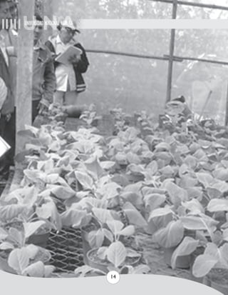 UNIVERSIDAD NACIONAL AGRARIA 
14 
 
