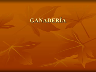 GANADERÍA
 