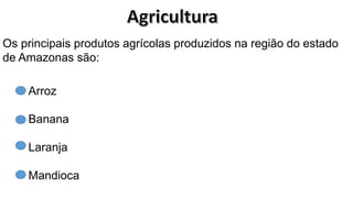 Os principais produtos agrícolas produzidos na região do estado
de Amazonas são:
Arroz
Banana
Laranja
Mandioca
 
