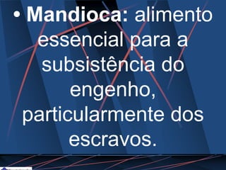 • Mandioca: alimento
essencial para a
subsistência do
engenho,
particularmente dos
escravos.
 