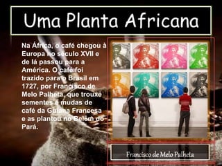 Uma Planta Africana
Na África, o café chegou à
Europa no século XVII e
de lá passou para a
América. O café foi
trazido para o Brasil em
1727, por Francisco de
Melo Palheta, que trouxe
sementes e mudas de
café da Guiana Francesa
e as plantou no Belém do
Pará.
Francisco de Melo Palheta
 