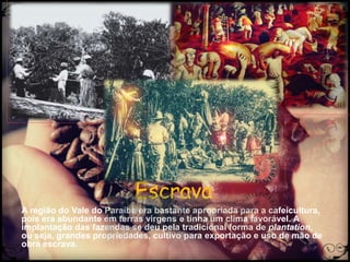 Mão de Obra
Escrava
A região do Vale do Paraíba era bastante apropriada para a cafeicultura,
pois era abundante em terras virgens e tinha um clima favorável. A
implantação das fazendas se deu pela tradicional forma de plantation,
ou seja, grandes propriedades, cultivo para exportação e uso de mão de
obra escrava.
 
