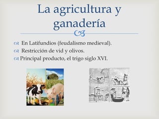 La agricultura y
            ganadería
                
 En Latifundios (feudalismo medieval).
 Restricción de vid y olivos.
 Principal producto, el trigo siglo XVI.
 