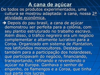 A cana de açúcar

De todos os produtos experimentados, uma
cultura se mostrou adaptada: a cana, nossa 2ª
atividade econômica.
 Depois do pau brasil, a cana de açúcar
demonstrou ser perfeita para a colônia, com
seu plantio estruturado no trabalho escravo.
Além disso, o tráfico negreiro era um negócio
complementar e altamente lucrativo para a
Coroa. Organizado em sistema de Plantation,
nos latifúndios monocultores. Destaque
também para a participação dos holandeses,
que participavam do negócio, financiando,
transportando, refinando e revendendo o
açúcar na Europa. Ganhava o senhor de
engenho, os flamengos e a Coroa, que tinha
sua parte nos lucros.

 