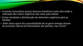 • A estufa comunitária possui diversos benefícios entre eles estão a
utilização dos restos orgânicos das casas para adubo
• Como resultado a distribuição de alimentos orgânicos para as
famílias
• Além disso agora há a possibilidade de se gerar energia através
do processo natural de fotossíntese das plantas, mas como?
 