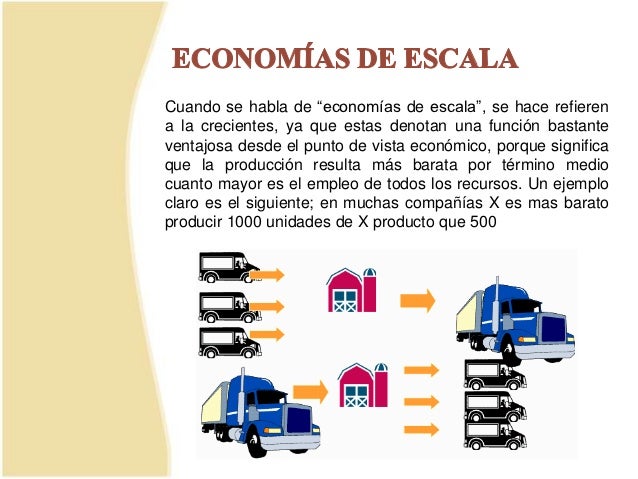 Que Es Una Economía De Escala