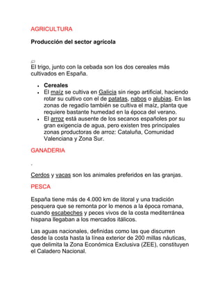 AGRICULTURA
Producción del sector agrícola
El trigo, junto con la cebada son los dos cereales más
cultivados en España.
Cereales
El maíz se cultiva en Galicia sin riego artificial, haciendo
rotar su cultivo con el de patatas, nabos o alubias. En las
zonas de regadío también se cultiva el maíz, planta que
requiere bastante humedad en la época del verano.
El arroz está ausente de los secanos españoles por su
gran exigencia de agua, pero existen tres principales
zonas productoras de arroz: Cataluña, Comunidad
Valenciana y Zona Sur.
GANADERIA
.
Cerdos y vacas son los animales preferidos en las granjas.
PESCA
España tiene más de 4.000 km de litoral y una tradición
pesquera que se remonta por lo menos a la época romana,
cuando escabeches y peces vivos de la costa mediterránea
hispana llegaban a los mercados itálicos.
Las aguas nacionales, definidas como las que discurren
desde la costa hasta la línea exterior de 200 millas náuticas,
que delimita la Zona Económica Exclusiva (ZEE), constituyen
el Caladero Nacional.
 