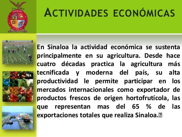 Las Principales Actividades Economicas De Sinaloa