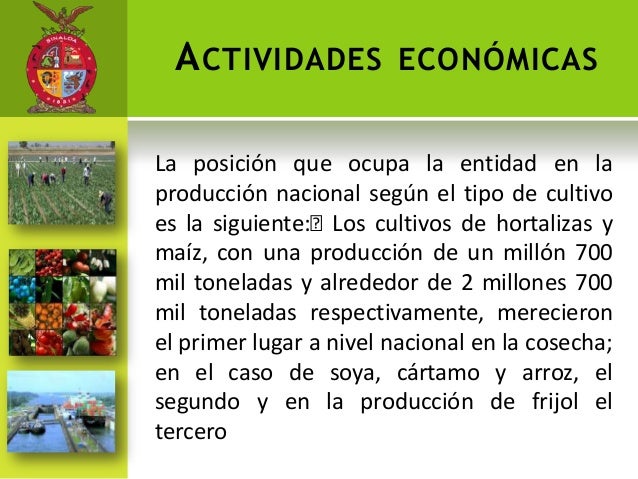 Economia del estado de sinaloa