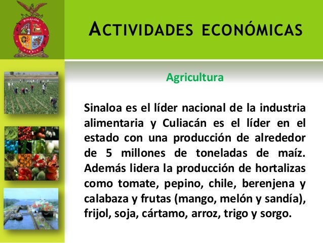 Economia del estado de sinaloa