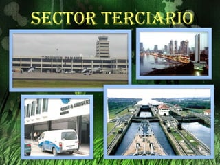 Sector Secundario 