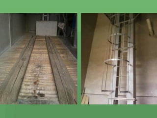 Economia  De  Rodeio