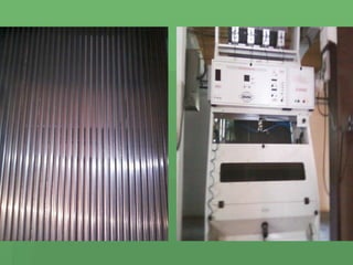 Economia  De  Rodeio