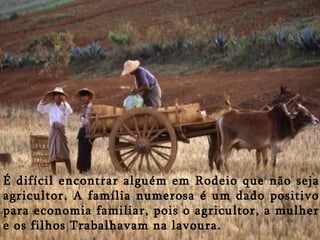 É difícil encontrar alguém em Rodeio que não seja
agricultor. A família numerosa é um dado positivo
para economia familiar, pois o agricultor, a mulher
e os filhos Trabalhavam na lavoura.
 