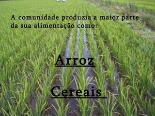A comunidade produzia a maior parte
da sua alimentação como:




            Arroz

           Cereais
 