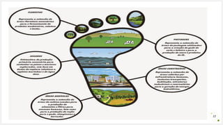 Seu Logotipo ou Nome Aqui 17
 