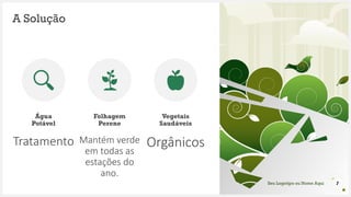 Seu Logotipo ou Nome Aqui
A Solução
Água
Potável
Tratamento
Folhagem
Perene
Mantém verde
em todas as
estações do
ano.
Vegetais
Saudáveis
Orgânicos
7
 