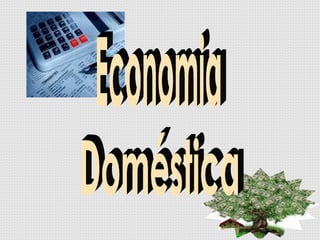 Economia Doméstica 