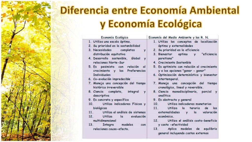 Enfoques de la Economia Ecologica