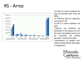 RS - Arroz
• A Ásia é o maior produtor de
Soja do Mundo (com mais de
90%);
• A América está em segundo,
com apenas 5%;
• O RS é o maior produtor do
país;
• Nota-se um aumento da
produção no RS, graças ao uso
de novas tecnologia (como uso
de sementes de última
geração e manejo do solo);
• Atualmente as cidades com
maior produtividade são Itaqui
e Uruguaiana.
 