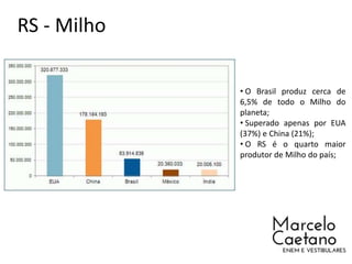 RS - Milho
• O Brasil produz cerca de
6,5% de todo o Milho do
planeta;
• Superado apenas por EUA
(37%) e China (21%);
• O RS é o quarto maior
produtor de Milho do país;
 