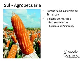 Sul - Agropecuária
• Paraná  Solos fertéis de
Terra roxa;
• Voltado ao mercado
interno e externo;
– Escoado por Paranaguá.
 
