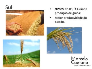 Sul • NW/W do RS  Grande
produção de grãos;
• Maior produtividade do
estado.
 
