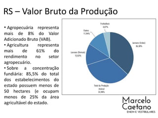 RS – Valor Bruto da Produção
• Agropecuária representa
mais de 8% do Valor
Adicionado Bruto (VAB).
• Agricultura representa
mais de 61% do
rendimento no setor
agropecuário.
• Sobre a concentração
fundiária: 85,5% do total
dos estabelecimentos do
estado possuem menos de
50 hectares (e ocupam
menos de 25% da área
agricultável do estado.
 