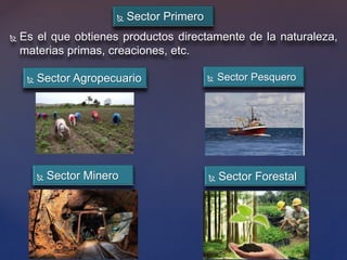  Sector Primero
 Es el que obtienes productos directamente de la naturaleza,
materias primas, creaciones, etc.
 Sector Pesquero Sector Agropecuario
 Sector Minero  Sector Forestal
 
