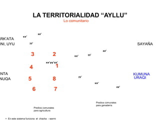 ARK’ATA
INI, UYU
ANTA
NUQA
SAYAÑA
KUMUNA
URAQI
Lo comunitario
= En este sistema funciona el chacha - warmi
Predios comunales
para agricultura
Predios comunales
para ganadería
1
23
4
76
85
xx’yy’zz’
xx’
yy’
zz’
xx’
yy’
zz’
zz’
yy’
xx’
LA TERRITORIALIDAD “AYLLU”
 