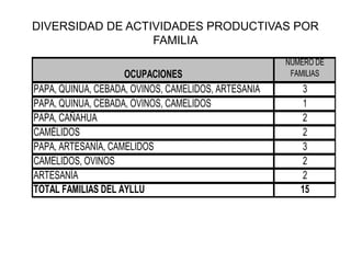 OCUPACIONES
NUMERO DE
FAMILIAS
PAPA, QUINUA, CEBADA, OVINOS, CAMELIDOS, ARTESANIA 3
PAPA, QUINUA, CEBADA, OVINOS, CAMELIDOS 1
PAPA, CAÑAHUA 2
CAMÉLIDOS 2
PAPA, ARTESANÍA, CAMELIDOS 3
CAMELIDOS, OVINOS 2
ARTESANÍA 2
TOTAL FAMILIAS DEL AYLLU 15
DIVERSIDAD DE ACTIVIDADES PRODUCTIVAS POR
FAMILIA
 