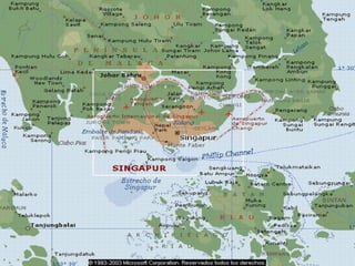 ECONÓMIAS EMERGENTES ASIATICAS 
3 
 