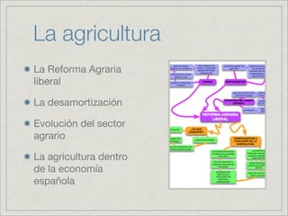 La agricultura
La Reforma Agraria
liberal

La desamortización

Evolución del sector
agrario

La agricultura dentro
de la economía
española
 