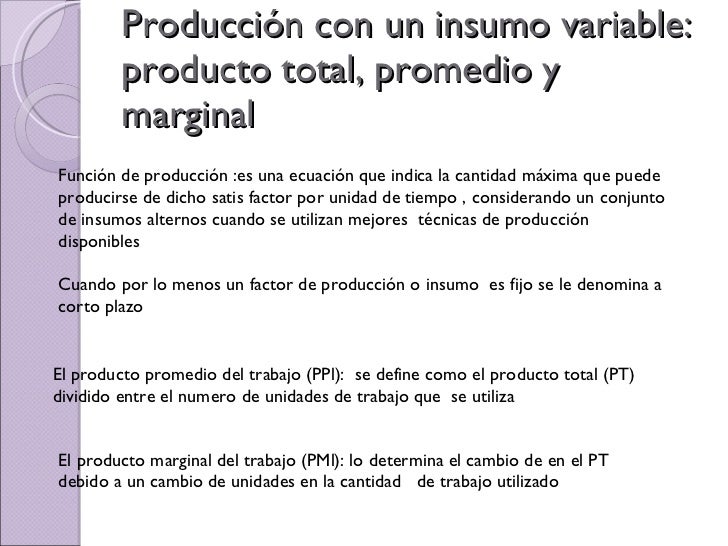 Economia (Teoria De La Produccion)
