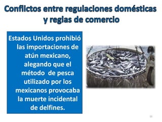 Estados Unidos prohibió
las importaciones de
atún mexicano,
alegando que el
método de pesca
utilizado por los
mexicanos provocaba
la muerte incidental
de delfines.
10
 