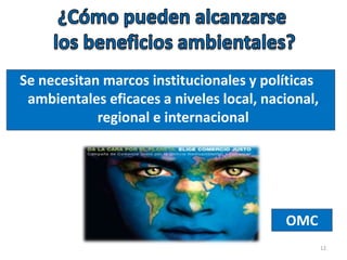 Se necesitan marcos institucionales y políticas
ambientales eficaces a niveles local, nacional,
regional e internacional
OMC
12
 