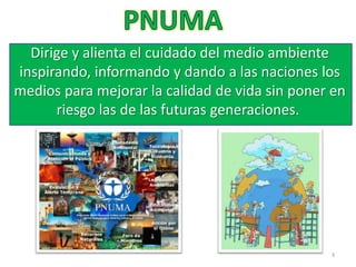 Dirige y alienta el cuidado del medio ambiente
inspirando, informando y dando a las naciones los
medios para mejorar la calidad de vida sin poner en
riesgo las de las futuras generaciones.
3
 
