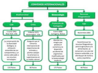 CONVENIOS INTERNACIONALES
CDB CITES
Protocolo de
Cartagena
TIRF
5 Junio 1992
New York, USA
Biodiversidad Biotecnología Recursos
Fitogenéticos
La conservación de
la diversidad
biológica, la
utilización
sostenible de sus
componentes y un
acceso adecuado a
sus recursos
tecnologías.
120 Países
3 Marzo 1973
Washintgton, USA
Asegurar que el
comercio
internacional de
especímenes de
animales y
plantas salvajes
no amenace su
supervivencia en
su medio natural.
80 Países
Enero 2000
Cartagena, Bolivia
Abordar los
riesgos que
plantea el
comercio y la
dispersión
accidental de
organismos
modificados por
la biotecnología
moderna.
175 Países
Noviembre 2001
Garantiza que los
recursos fitogenéticos
para la agricultura y la
alimentación, se
conserven y se usen de
manera sostenible, y se
distribuyan de manera
justa y equitativa.
48 Países
6
 