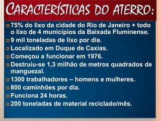 CARACTERÍSTICAS DO ATERRO:
 75% do lixo da cidade do Rio de Janeiro + todo
o lixo de 4 municípios da Baixada Fluminense.
 9 mil toneladas de lixo por dia.
 Localizado em Duque de Caxias.
 Começou a funcionar em 1976.
 Destruiu-se 1,3 milhão de metros quadrados de
manguezal.
 1300 trabalhadores – homens e mulheres.
 800 caminhões por dia.
 Funciona 24 horas.
 200 toneladas de material reciclado/mês.
 