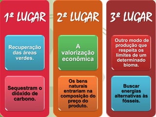 1º LUGAR
Recuperação
das áreas
verdes.
Sequestram o
dióxido de
carbono.
2º LUGAR
A
valorização
econômica
Os bens
naturais
entrariam na
composição do
preço do
produto.
3º LUGAR
Outro modo de
produção que
respeita os
limites de um
determinado
bioma.
Buscar
energias
alternativas às
fósseis.
 