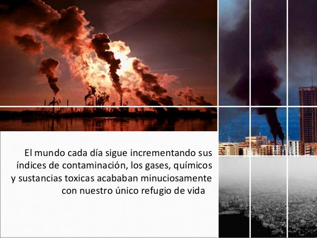 El mundo cada día sigue incrementando susíndices de contaminación, los gases, químicosy sustancias toxicas acababan minuci...