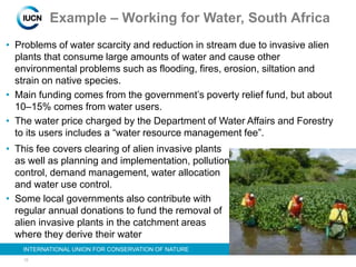 15
INTERNATIONAL UNION FOR CONSERVATION OF NATURE
Example – Working for Water, South Africa
• Problems of water scarcity and reduction in stream due to invasive alien
plants that consume large amounts of water and cause other
environmental problems such as flooding, fires, erosion, siltation and
strain on native species.
• Main funding comes from the government’s poverty relief fund, but about
10–15% comes from water users.
• The water price charged by the Department of Water Affairs and Forestry
to its users includes a “water resource management fee”.
• This fee covers clearing of alien invasive plants
as well as planning and implementation, pollution
control, demand management, water allocation
and water use control.
• Some local governments also contribute with
regular annual donations to fund the removal of
alien invasive plants in the catchment areas
where they derive their water
 