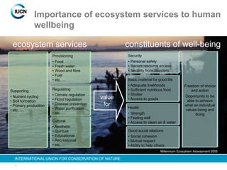 3
INTERNATIONAL UNION FOR CONSERVATION OF NATURE
Importance of ecosystem services to human
wellbeing
value
for
constituents of well-being
Security
• Personal safety
• Secure resource access
• Security from disasters
Basic material for good life
• Adequate livelihoods
• Sufficient nutritious food
• Shelter
• Access to goods
Health
• Strength
• Feeling well
• Access to clean air & water
Good social relations
• Social cohesion
• Mutual respect
• Ability to help others
Freedom of choice
and action
Opportunity to be
able to achieve
what an individual
values being and
doing
ecosystem services
Supporting
• Nutrient cycling
• Soil formation
• Primary production
• etc. …
Provisioning
• Food
• Fresh water
• Wood and fibre
• Fuel
• etc. …
Regulating
• Climate regulation
• Flood regulation
• Disease prevention
• Water purification
• etc. …
Cultural
• Aesthetic
• Spiritual
• Educational
• Recreational
• etc. …
Millennium Ecosystem Assessment 2005
 